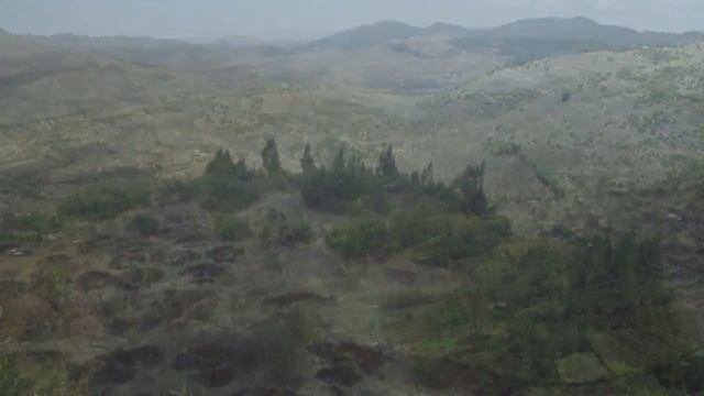 People of Tigray (Ethiopia) turn the desert green again смотреть онлайн
