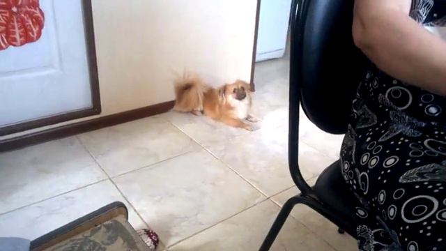 Заставляют кушать!!!!!