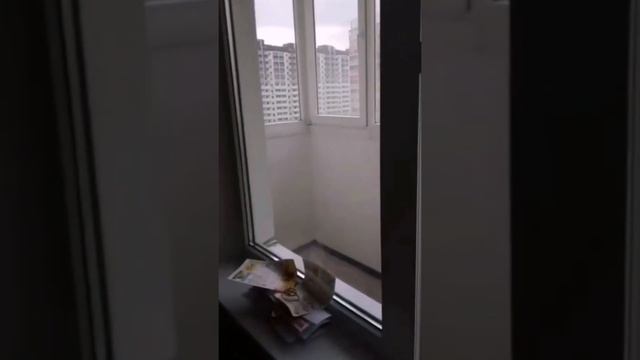 Обзор 1 комн. кв-ры||ЖК Суворовский||Ростов-на-Дону ||Новостройки||Октябрьский р-н||Дом сдан|| смотреть онлайн