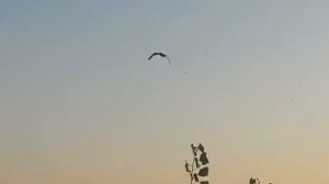 "Занавесочки". Федор Добронравов, Татьяна Кравченко и Людмила Артемьева. Самая душевная песня!