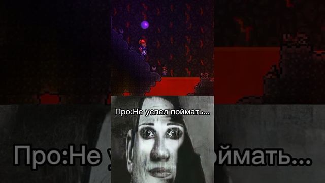 [ Знания ? ] Новичка и Про [ В Terraria ? ] #shorts#terraria#memes смотреть онлайн