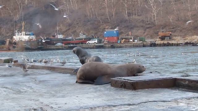 Эх, не любят заводские нашего брата ! смотреть онлайн