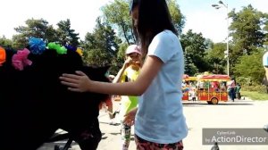 У пони длинная челка...