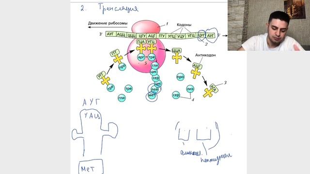 Как решать задачи на Антипараллельность? смотреть онлайн