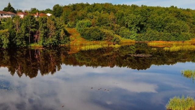 Послушав мать и оставшись с мужем она вскоре узнала как сильно ошибалась смотреть онлайн