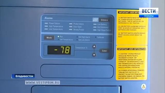 Ученые Школы биомедицины ДВФУ пробуют новые методы лечения онкологии смотреть онлайн