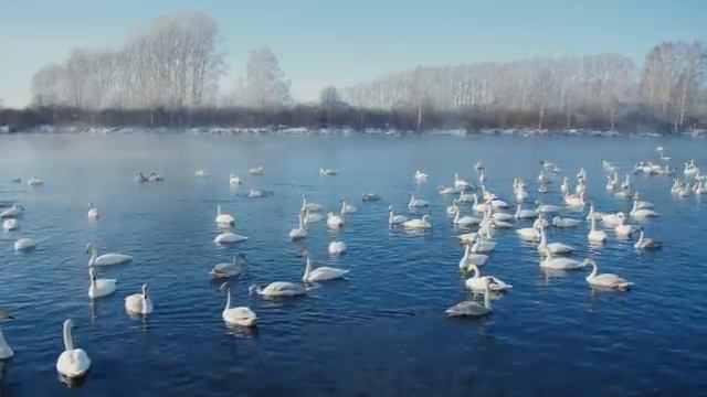 FLYING OVER ENGLAND (4K UHD) - Calming Music With Stunning Natural Landscape Videos (Ultra HD) смотреть онлайн