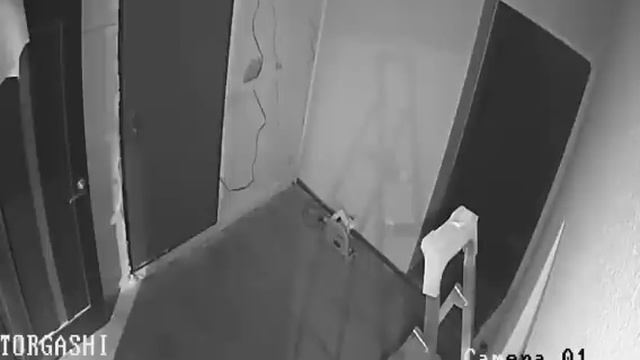 Масленок я слышу тебя. Выходи с поднятыми руками. Бомж не закон я закон. смотреть онлайн