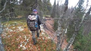 По новым местам/посмотреть боровую дичь/чай у костра.