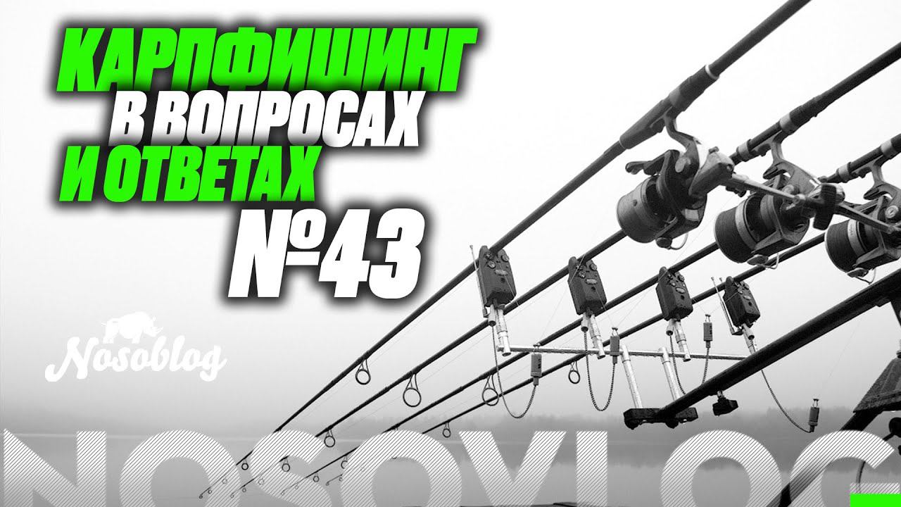 Карпфишинг в вопросах и ответах # 43, А. Колесников смотреть онлайн