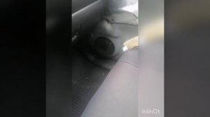 Замена штатных динамиков в Suzuki Grand Vitara на DL Audio Gryphon Pro 165 Midbass