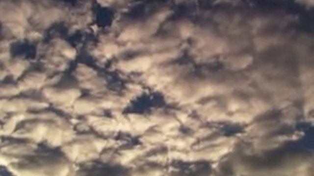 Благослови душа моя Господа! смотреть онлайн