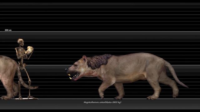 MIOCENE MEGAFAUNA. Size Comparison / MEGAFAUNA DEL MIOCENO. Comparación de Tamaños смотреть онлайн