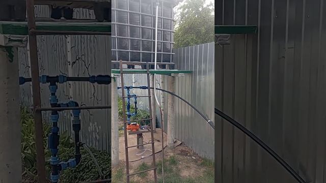 Полив с еврокуба смотреть онлайн