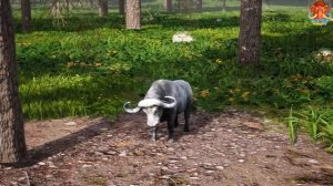 Cow Mammoth Elephant Gorilla Buffalo Monster Lion Vs Giant Dinosaur ESCAPE ROOM CHALLENGE