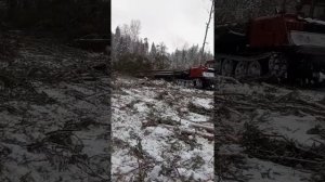 Трелевка леса Тлт-100 #тдт-55