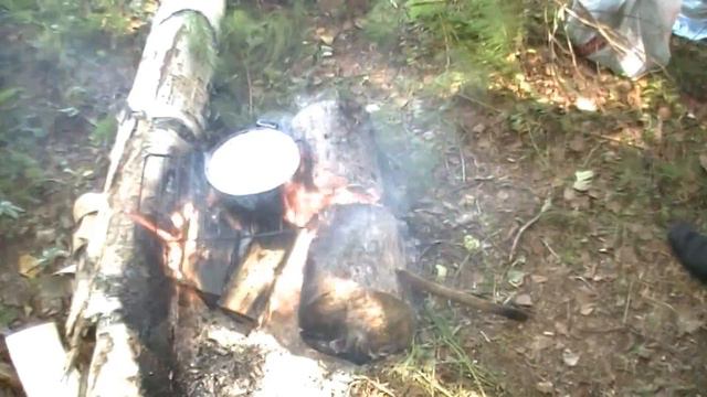 Готовим таёжную лапшу в тайге смотреть онлайн