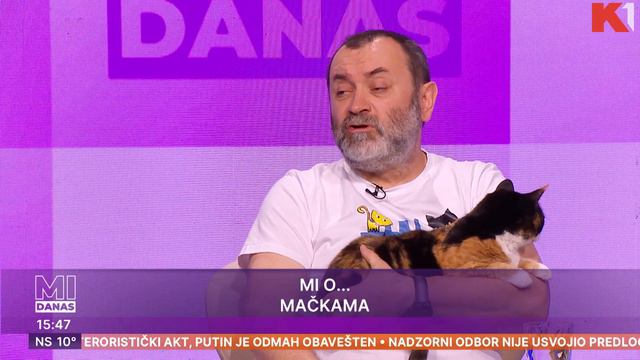 Specijalna obuka o mačkama u Londonu | Irena Uzelac i Aleksandar Gavrić | Mi danas смотреть онлайн