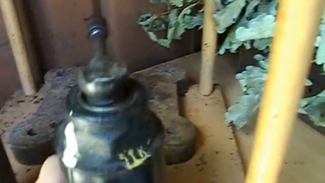 Мой пресс для технопланктона смотреть онлайн