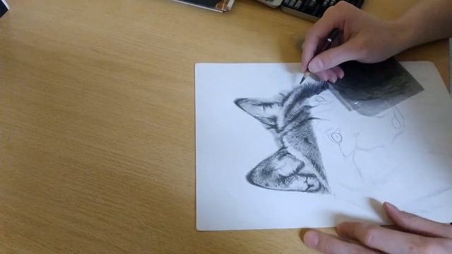 Animal painter | I draw a wolf part 1 смотреть онлайн