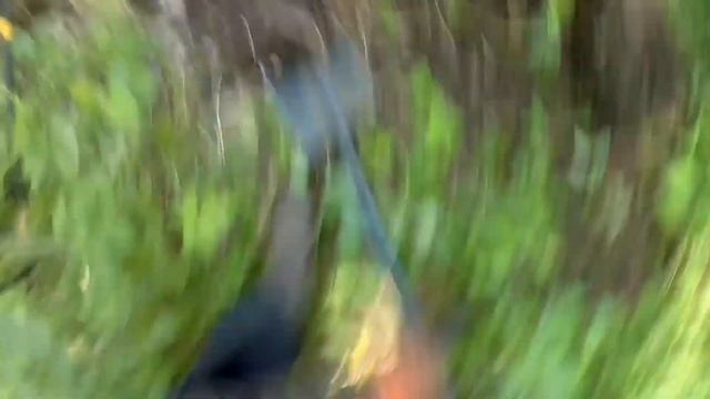 Копаем в жару за 30 - металлокоп с clone pi-w смотреть онлайн