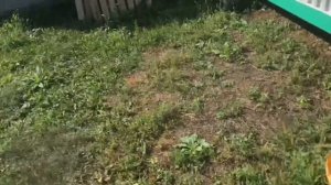 Покраска бытовки. Часть №1. Жизнь в бытовке.