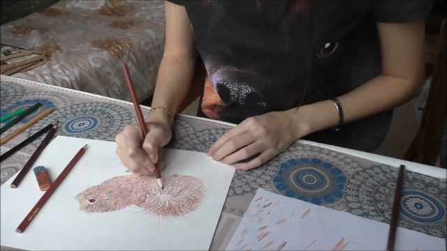 Я рисую Персика с канала ХОМКИ // LV смотреть онлайн