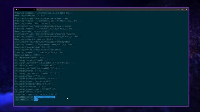 Enable and open GUIs apps on Windows Subsystem for Linux (WSL) смотреть онлайн