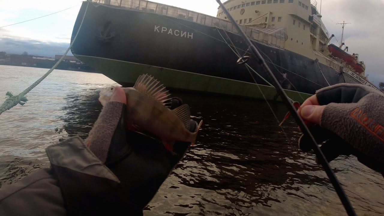 #293 #Streetfishing | Взял с собой 
