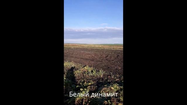 В048 Белый динамит смотреть онлайн