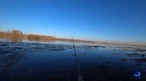 Рыбалка на Ангаре. Нахлыст. Хариус. Канал Angara