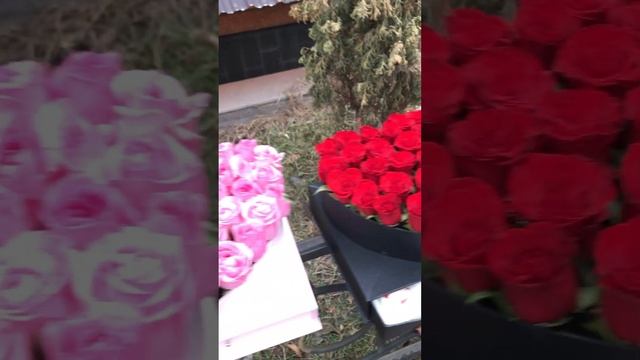 Flowerhouse цветы доставка Бишкек смотреть онлайн