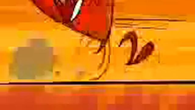 СоЗдАны дрУГ ДлЯ дрУгА| АхМеД смотреть онлайн