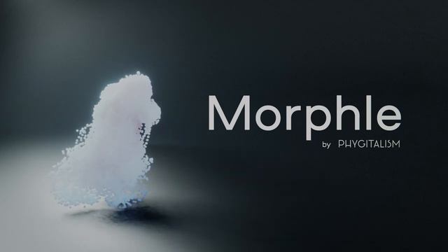 MORPHLE ADD-ON
