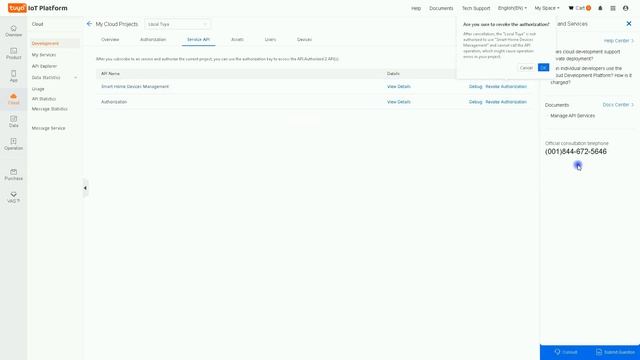 Local Tuya And Home Assistant