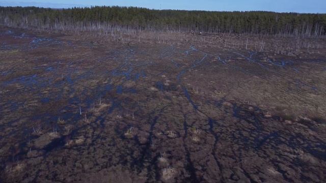 Экотропа Сестрорецкое болото. Апрель 2022. смотреть онлайн