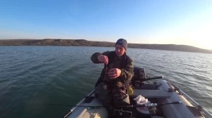 Секреты ловли сома в холодной воде