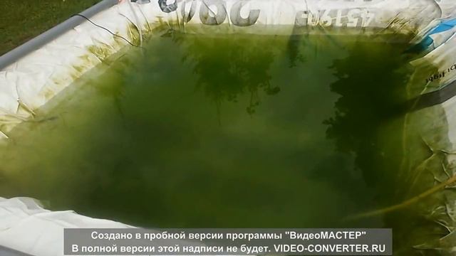 Бассейн на даче смотреть онлайн