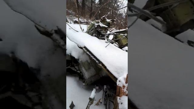Упавший самолет в горах Приморья смотреть онлайн