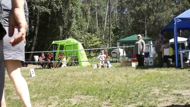 М Гейша, Пина Колада для Морошки, ДЛ Руперт Старк смотреть онлайн