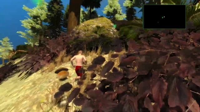Rainy weather in forest - Leadwerks game engine смотреть онлайн