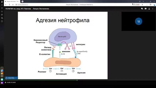 Воспаление смотреть онлайн