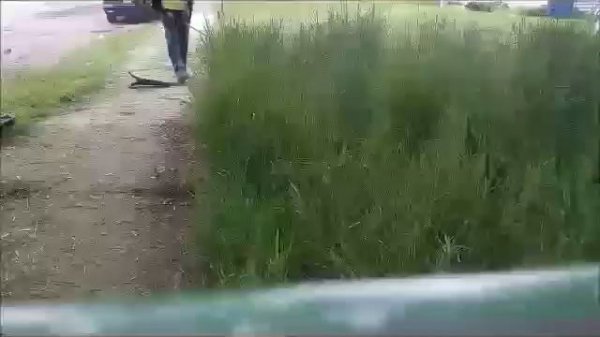 Grass Cutting Video - "Cut it" pt. 2