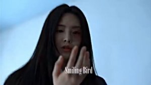 клип на дораму Мы все мертвы