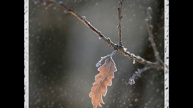 Еще вчера на Солнце млея, Афанасий Фет смотреть онлайн