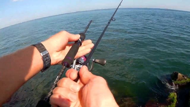Обзор удилища Golden Catch Wanderer Travel. Морская рыбалка на черном море смотреть онлайн