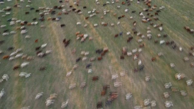 Светлоград Ставропольский край аэросъёмка/Svetlograd Stavropol region Russia air survey смотреть онлайн