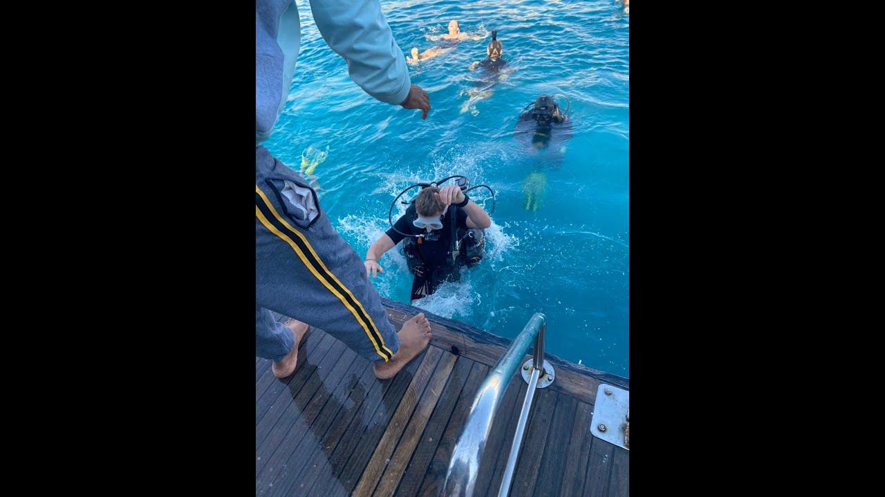 Дайвинг. Шарм-Эль-Шейх, январь 2022. Первое погружение #gopro смотреть онлайн