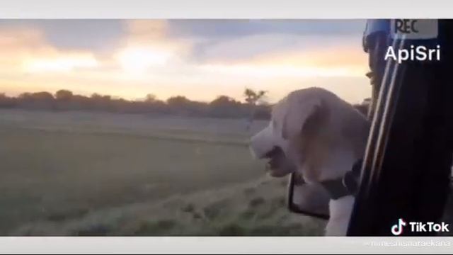 Nissan patrol y60 traveling life смотреть онлайн