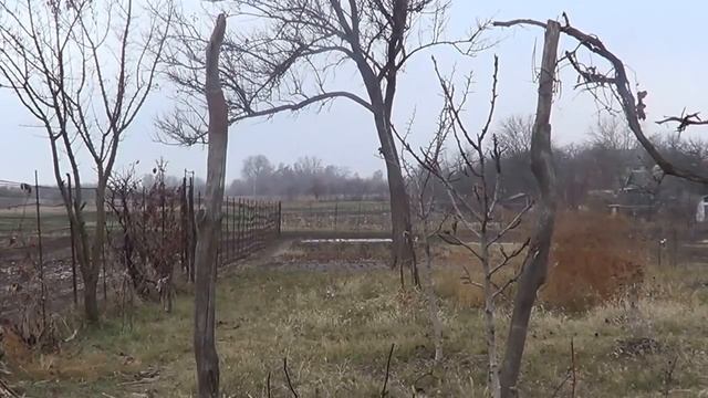 Свидетельство исцеления от сахарного диабета 2 типа смотреть онлайн